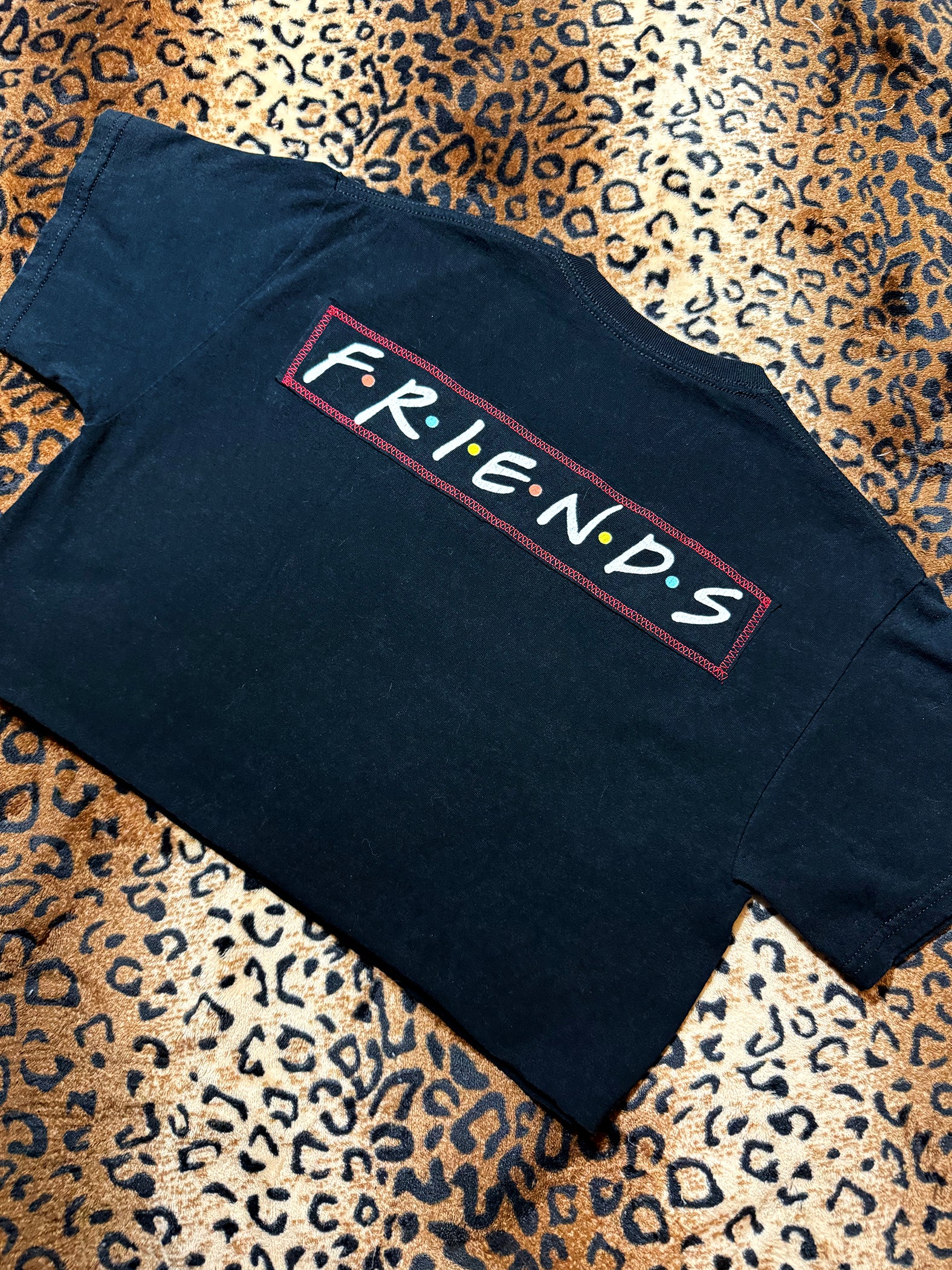 Horror Friends Crop Top